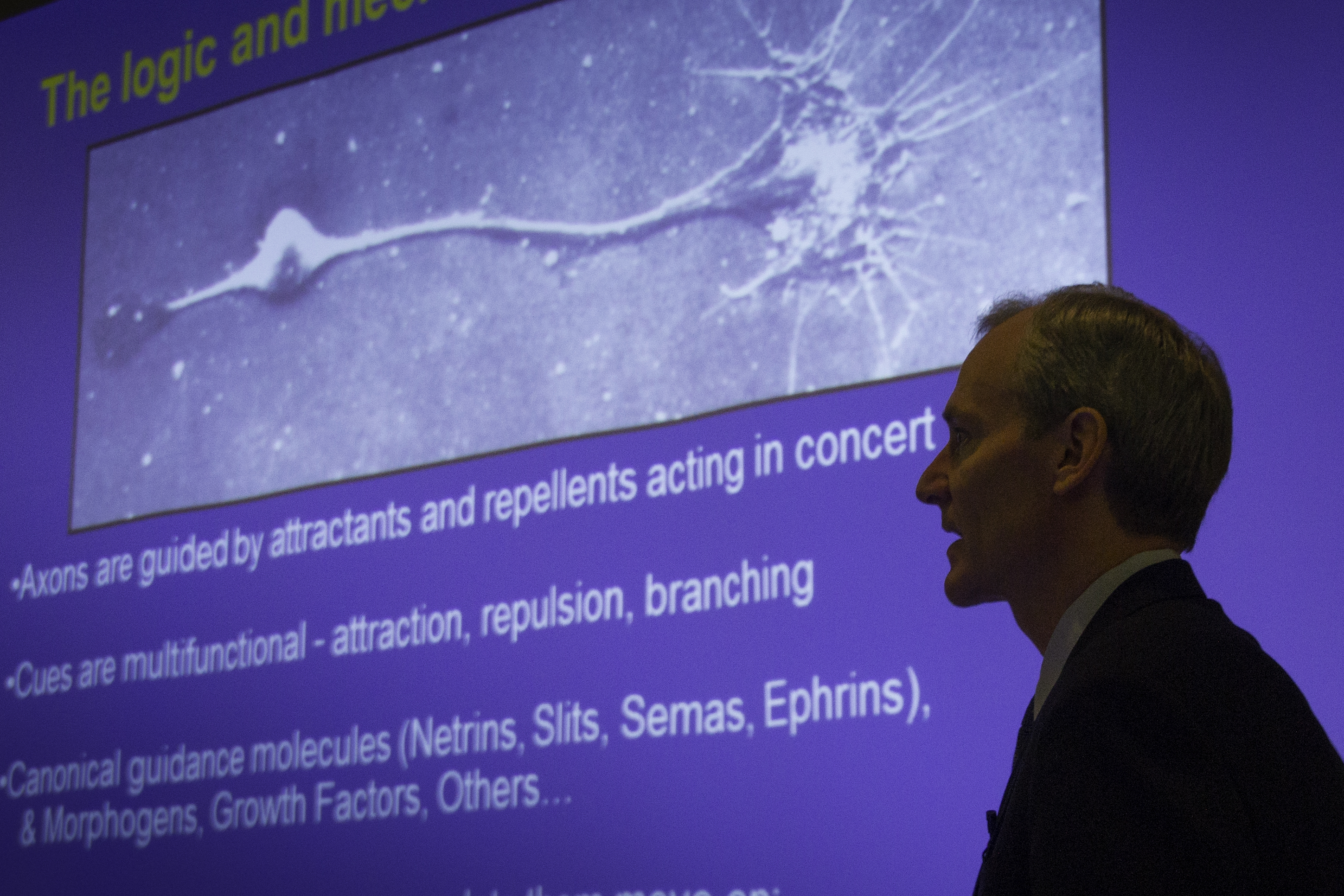 “Building Brains” - Dr. Marc Tessier-Lavigne, 2012 Friesen Prizewinner - CBC Radio One “Ideas” Interview with Paul Kennedy