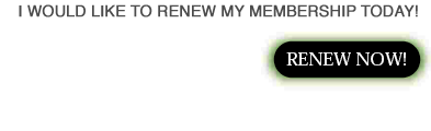 renew_now.gif